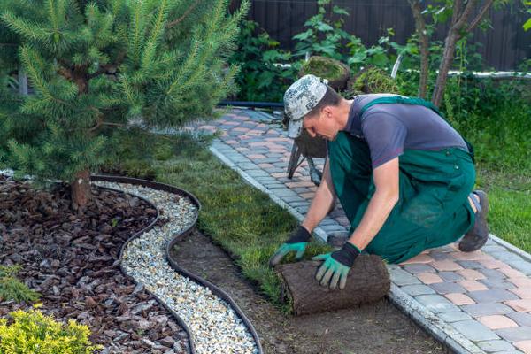 Fayetteville’s Landscaping Solutions for Lush, Vibrant Lawns