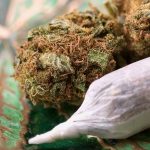 Trusted Cannabis Reviews from LookyWeed for Hemp Enthusiasts